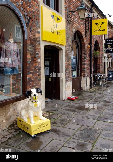 Dogs Trust Deal Charity Shop .